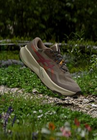 Δεν επιλέχθηκε, taupe grey/oatmeal