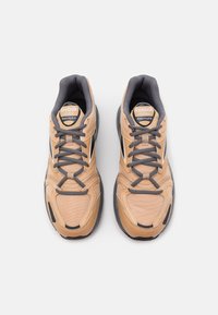 Paire de baskets Reebok Premier Road Plus VI couleur beige et grise avec des détails et des lacets noirs, vues de dessus sur fond blanc.