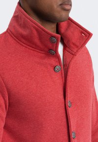 Ombre CASUAL - Felpa con zip - red melange