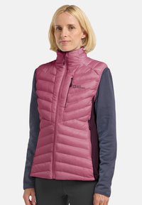 Gilet senza maniche isolato di colore rosa chiaro, con design trapuntato, due tasche con zip, colletto alto e un logo sulla parte sinistra del petto.