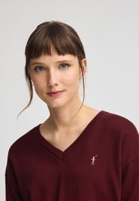 Burgundy stickad tröja med V-hals, med en liten broderad figur på vänster sida. Mjuk textur och avslappnad passform.