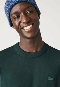 Maglione verde a maglia con scollo rotondo e tessuto strutturato, con un piccolo logo verde Lacoste sul petto. Berretto di lana blu.
