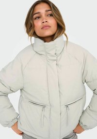 Lichtgrijze donsjas met een hoge kraag, elastische manchetten en twee zijzakken met rits, met een gladde, matte textuur.