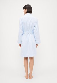 Light blue robe made of plush fabric with a tied belt, long sleeves, and textured detailing on the cuffs, shown from the back.