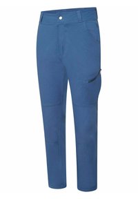 Dare 2B REPRISE WANDER - Stoffhose - blue