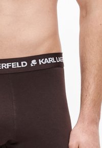 Καφέ εσώρουχα με παχιά μαύρη ζώνη μέσης που φέρει τη λέξη "KARL LAGERFELD" με λευκά γράμματα. Λεία υφή και εφαρμοστή σχεδίαση.