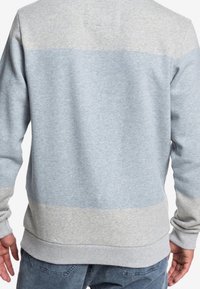 Sweat-shirt en coton gris avec une bande horizontale gris clair sur le haut du dos, coupe décontractée, poignets et ourlet côtelés.