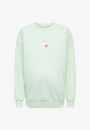 Lysegrønn crewneck-genser med ribbede mansjetter og kant, lite jordbærgrafikk og ordet «DREAM» på brystet.