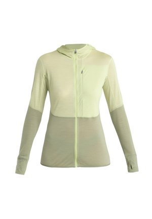 icebreaker, MERINO 200 MID WEIGHT  REAL FLEECE DESCENDER  ZIP HOODIE - Fleecejacke - LIGHT GREEN