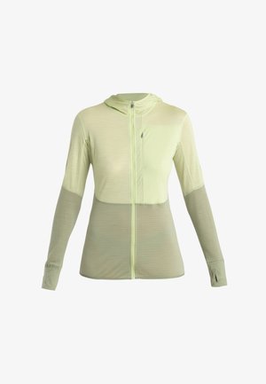 icebreaker, MERINO 200 MID WEIGHT REAL FLEECE DESCENDER ZIP HOODIE - Fleecejacke - LIGHT GREEN