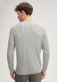 Hellgrauer Strickpullover mit Kabelmuster, gerippten Bündchen und Saum. Der Rücken zeigt ein klassisches Rundhalsdesign.