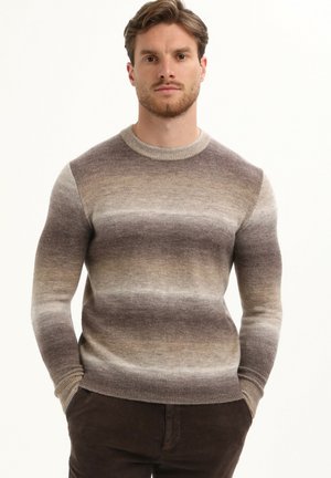 LUXURIOUS  - Trui - taupe