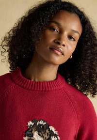 Červený pletený sveter s rebrovaným golierom, na prednej strane zdobený vyšitým motívom psa. Mäkká textúra a štandardný strih.