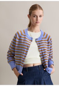 Gestreepte cardigan in bruin en lichtblauw, gemaakt van zachte stof; met een ronde kraag, knoopsluitingen en geribde manchetten.