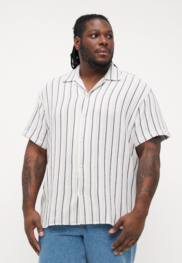 JORCOBA STRIPE RESORT SHIRT - Hemd - celadon tint
