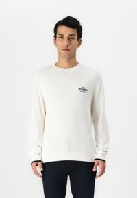 Tommy Hilfiger GRAPHIC CREW - Jumper - ivory petal