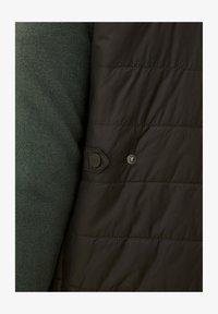 Ausgewählt, rosciola green