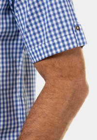 Camisa de manga corta a cuadros en azul y blanco, con puños abotonados, fabricada en tejido ligero y con un diseño entallado visible en el brazo.