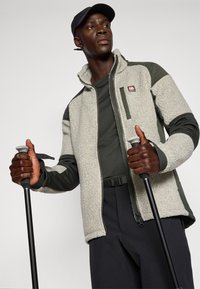 Lichtegrijze fleece ritsjack met donkere groene accenten; heeft een hoge kraag, voorzakken en verstelbare manchetten; gelaagd over een donker shirt.