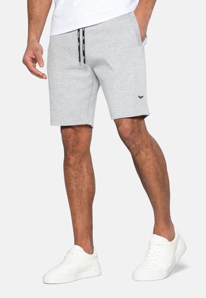 Shorts - grey