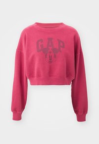 Δεν επιλέχθηκε, sled