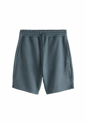 Next, REGULAR FIT - ACTIVE TRAINING DIVISION SHORTS  . - Tepláky - slate grey