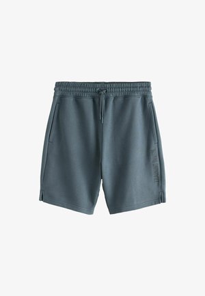 Next, REGULAR FIT - ACTIVE TRAINING DIVISION SHORTS . - Tepláky - slate grey