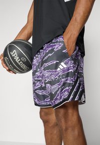 adidas Performance CRAZYLITE  - Korte sportsbukser - aurora plum/black