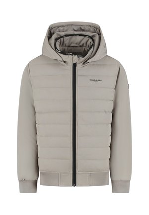 REGULAR FIT PADDED - Soft shell jacket - ash grey