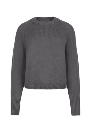 Pull gris tricoté avec col rond, manches longues raglan, poignets et ourlet côtelés. Tissu texturé et coupe courte.