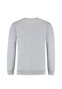 Lichtgrijze trui met lange mouwen, ronde hals en geribbelde manchetten en zoom. Zachte stof met een gladde textuur en zonder extra patronen.