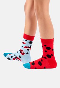 Multicolore sokken: de ene is blauw met rode lieveheersbeestjes en zwarte stippen, de andere is rood met zwarte stippen. Beiden hebben contrasterende kleuren voor de tenen.