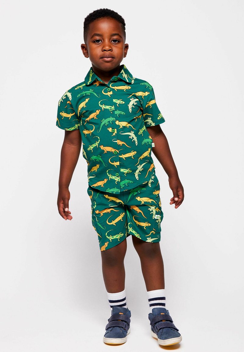 Jeune garçon debout portant une chemise à manches courtes verte à boutons et un short avec des motifs de lézards colorés, des chaussettes rayées et des baskets bleues.