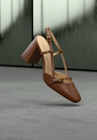 Chaussure à talon en cuir brun avec un bout pointu, une sangle réglable à la cheville et un détail boucle carrée dorée. Texture lisse et talon épais.