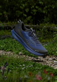 Chaussure de trail running bleue avec une tige texturée, étiquette GORE-TEX et semelle rembourrée. Présente un design épuré et des accents gris.