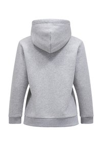 Grauer Kapuzenpullover aus weichem Material, mit lockerer Passform und gerippten Bündchen sowie Saum. Die Rückseite zeigt ein schlichtes Design ohne Verzierungen.