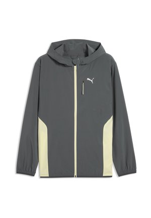 FLEX STRETCH  - Chaqueta de entrenamiento - galactic gray-apple spritz