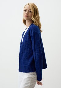 Cardigan lavorato a maglia blu con un motivo a rombi, dotato di maniche lunghe, orlo a costine e design aperto. Indossato su una maglietta bianca.