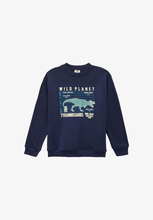 Merinotriko sininen, valmistettu puuvillasekoitteesta, jossa on graafinen kuva T-Rexistä ja siihen liittyvät tekstitykset. Pitkät hihat ja ribbauslahkeet.