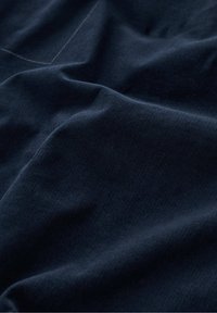 Seasalt Cornwall FOREST VIEW - A-linjainen hame - navy maritime