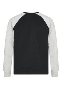 Felpa raglan nera e grigia chiara con maniche lunghe. Tessuto di cotone morbido, polsini a costine e collo tondo classico. Design pulito e minimale.