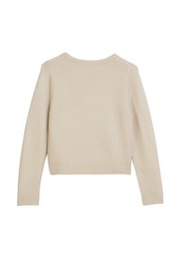 Maglione beige con scollo rotondo, maniche lunghe e orlo a coste. Tessuto morbido con silhouette aderente, senza motivi o loghi visibili.
