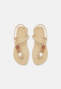 Havaianas FLASH URBAN PLUS - Infradito - sand grey