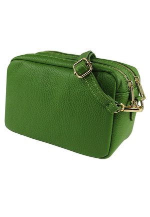 DrachenLeder Handtasche - hellgrün