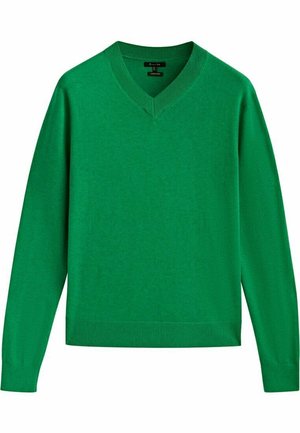 Groene v-hals trui gemaakt van zachte stof. Lange mouwen, geribbelde manchetten en zoom, en een gladde textuur met een effen kleur ontwerp.