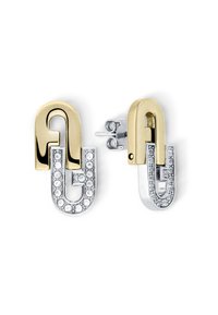 Kõrvarõngad - gold and silver tone