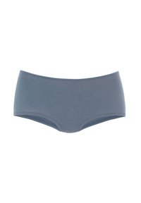 Blue cotton briefs with a smooth texture, mid-rise design, and covered elastic waistband. No patterns or accents.