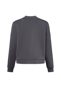 Sudadera gris corta con mangas largas, cuello redondo y puños acanalados. Presenta un sutil bordado en la parte posterior. Textura suave.