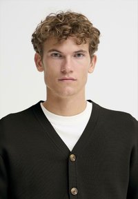 Tamsiai rudos spalvos megztinis su V formos iškirpte, priekyje su trimis mygtukais, dėvimas virš balto marškinėlio. Lygus mezgimo tekstūra.