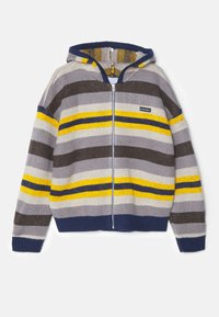 ZIPPED HOODIE - Vest - multicolour